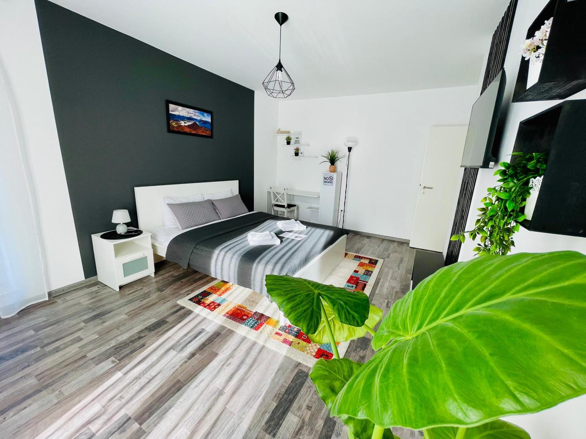 Apartament Montsee *