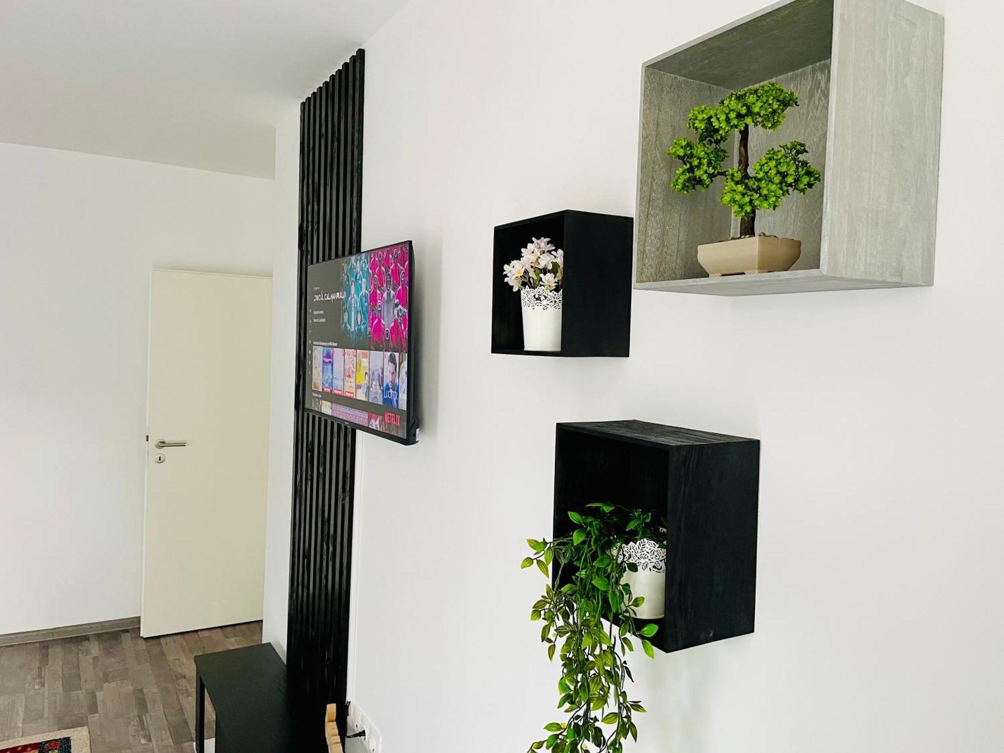 Apartament Montsee